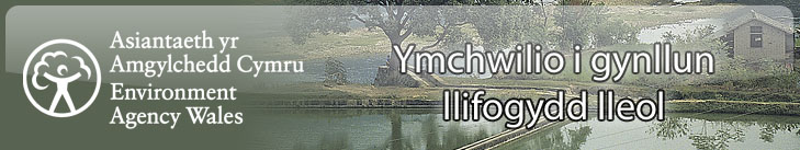 Ymchwilio i gynllun llifogydd lleol